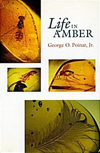 Life in Amber (Hardcover)