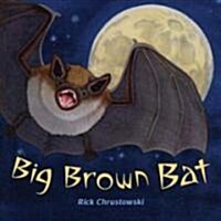 Big Brown Bat (School & Library)