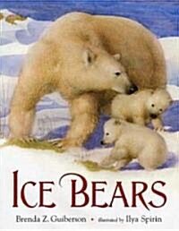 Ice Bears (School & Library)