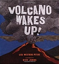 Volcano Wakes Up! (Hardcover)