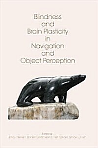 Blindness and Brain Plasticity in Navigation and Object Perception (Paperback)