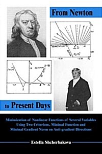 From Newton to Present Days (Paperback)