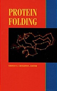 Protein Folding (Hardcover, First Edition)