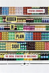 Hidden in Plain Sight: The Social Structure of Irrelevance (Hardcover)