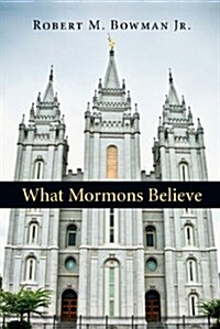 What Mormons Believe (Paperback, 2)