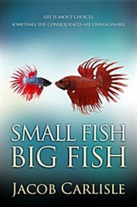 Small Fish Big Fish (Paperback)
