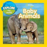 Explore My World Baby Animals (Paperback)