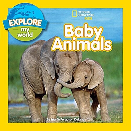 Explore My World Baby Animals (Paperback)