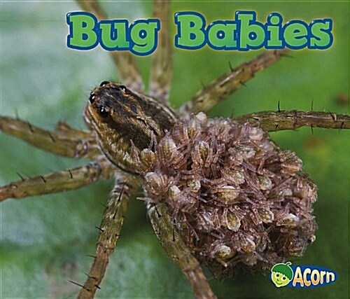 Bug Babies (Paperback)