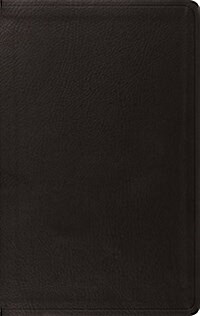 Value Thinline Bible-ESV (Imitation Leather)