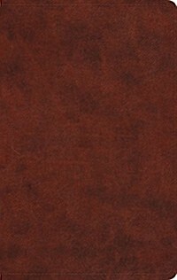 Value Thinline Bible-ESV (Imitation Leather)