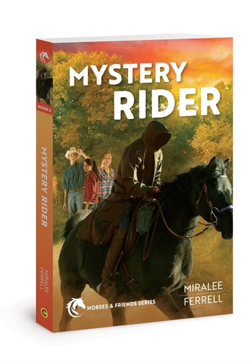 Mystery Rider: Volume 3 (Paperback)