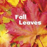 Fall Leaves (Paperback)