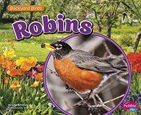 Robins (Paperback)