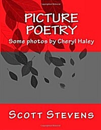 Picture Poetry (Paperback)