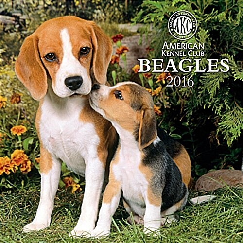 Cal 2016 Beagles (Wall)