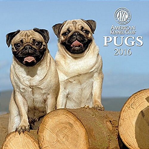 Cal 2016 Pugs (Wall)