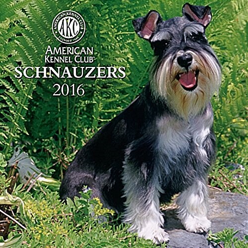 Cal 2016 Schnauzers (Wall)