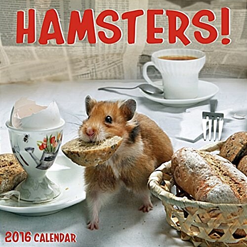 Hamsters (Wall, 2016)