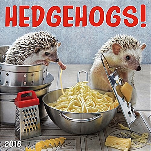 Hedgehogs Calendar (Wall, 2016)