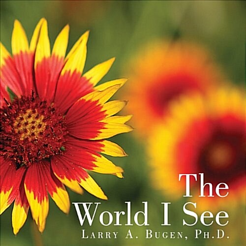 The World I See (Paperback)