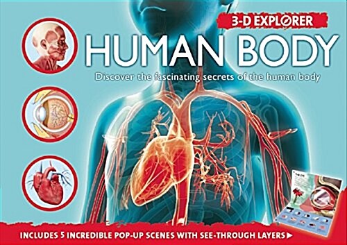 [중고] 3-D Explorer: Human Body (Hardcover)