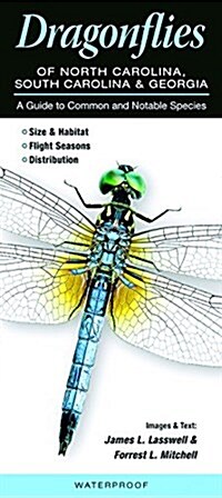 Dragonflies of North Carolina, South Carolina, and Georgia: A Guide to Common & Notable Species (Paperback)