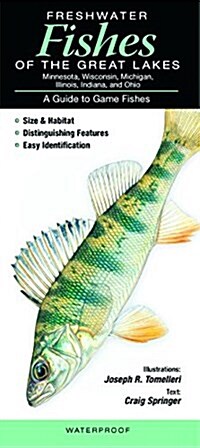 Freshwater Fishes of the Great Lakes: A Guide to Game Fishes (Other)
