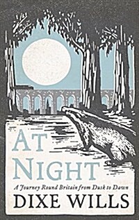 At Night : A Journey Round Britain from Dusk Till Dawn (Hardcover)