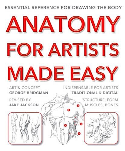 Anatomy for Artists Made Easy : Essential reference for drawing the body (Paperback, New ed)
