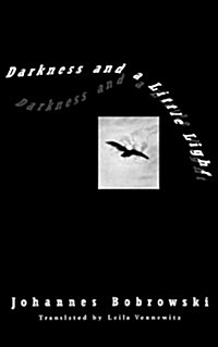 Darkness and a Little Light (Paperback)