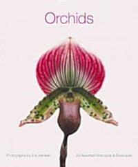 Orchids: Deluxe Notecards [With Envelopes] (Other)