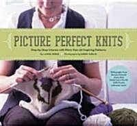 Picture Perfect Knits (Paperback)