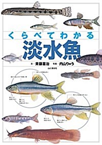 くらべてわかる 淡水魚 (單行本(ソフトカバ-))