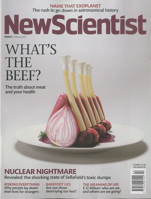 NEW SCIENTIST (주간 영국판) 2015년 01월 24일 