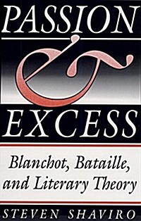 Passion and Excess: Blanchot, Bataille, and Literary Theory (Hardcover)