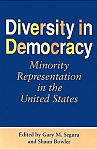 Diversity in Democracy: Minority Representation in the United States (Paperback)