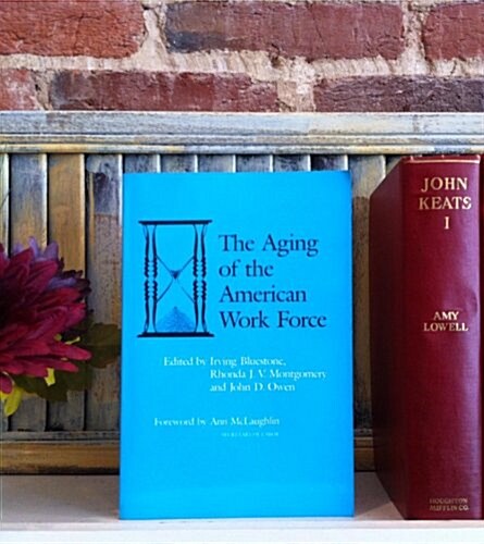 The Aging of the American Work Force (Paperback)