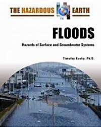 Floods: Hazards of Surface and Groundwater Systems (Hardcover)