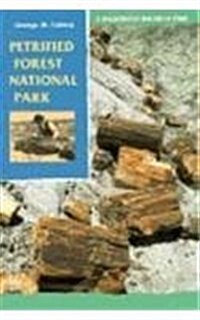 Petrified Forest National Park: A Wilderness Bound in Time (Paperback)