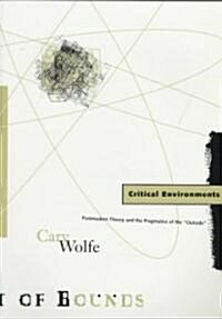 Critical Environments: Postmodern Theory and the Pragmatics of the Outside Volume 13 (Paperback)
