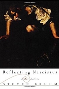 Reflecting Narcissus: A Queer Aesthetic (Paperback)