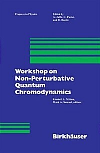 Workshop on Non-Perturbative Quantum Chromodynamics (Paperback)