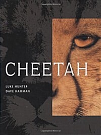 Cheetah (Hardcover)