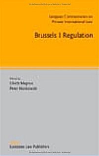 Brussels I Regulation (Hardcover)
