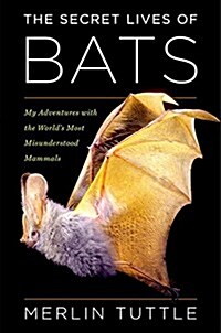 [중고] The Secret Lives of Bats: My Adventures with the World‘s Most Misunderstood Mammals (Hardcover)