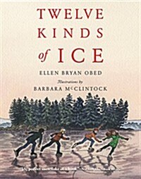 Twelve Kinds of Ice (Paperback)