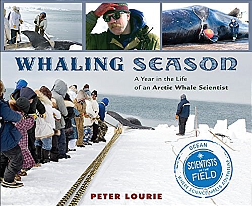 Whaling Season: A Year in the Life of an Arctic Whale Scientist (Paperback)