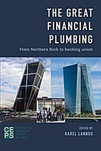 The Great Financial Plumbing : From Northern Rock to Banking Union (Paperback)
