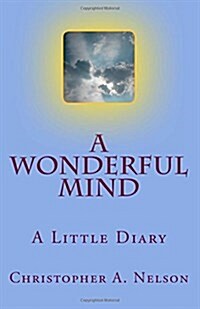 A Wonderful Mind (Paperback)